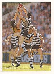 1990 Select AFL Stickers #10 Bruce Lindner Front